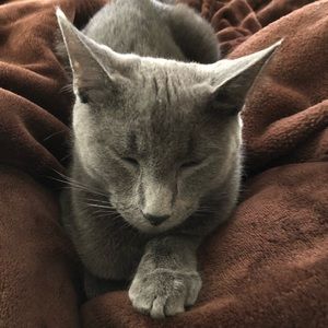 Meet your Posher, Sheri